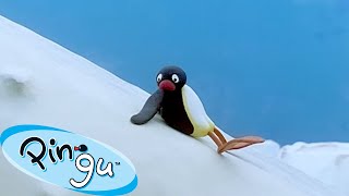 Pingu Learns His Lesson 🐧  Pingu  Official Channel  Cartoons For Kids [upl. by Ait]