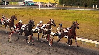 AMMAN VALLEY HARNESS RACES 392000 GRADE A HEAT 2 [upl. by Ynove]