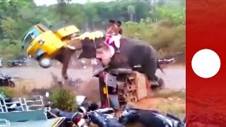 Elephant goes on rampage flipping 27 vehicles India [upl. by Lesiram427]