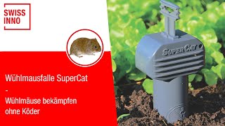 Wühlmausfalle SuperCat SWISSINNO [upl. by Guidotti791]