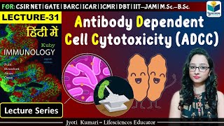 Immunology Antibody Dependent Cell Cytotoxicity ADCC  Lecture31 [upl. by Ganiats]