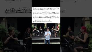 SHOSTAKOVICH 9  Clarinet Solo Iván Villar Sanz [upl. by Joceline640]