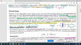 Gram negative coccobacilli video1Microbiology [upl. by Armand460]