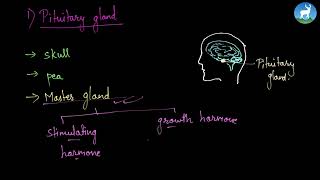 Mazina Rajopadhyaya  Nervous And Glandular System  Glandular System  Grade 10 [upl. by Nosille]