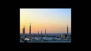 naatsharif islamicstatus youtubeshorts naatstatus musicgenre besttilawatintheworld [upl. by Brenton301]