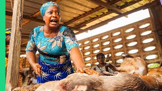 Extreme Bushmeat Nigerias WILD Animal Markets [upl. by Mehitable]