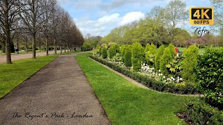 The Regents Park  London  4K 60fps  April 2024 [upl. by Neehcas]