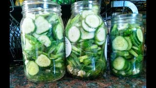 Garlic Dill Refrigerator Pickles Super Simple Recipe [upl. by Ahsrats]