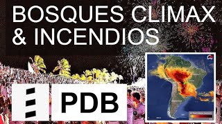 BOSQUES CLIMAX amp INCENDIOS Protegen contra los Incendios Forestales y o CO2 y Monóxido de Carbono [upl. by Drona]