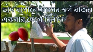 অসাধারণ একটি ছাদ বাগান পরিদর্শনchadbagan visitnursery visit [upl. by Buyers]