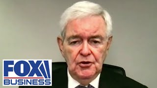 Newt Gingrich There is a long history of the UN siding with terrorists [upl. by Anerom]