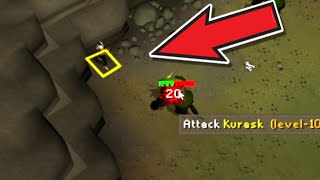 How Good Is Killing Kurasks  Kurasks Quick Guide OSRS [upl. by Anma]