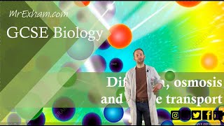 Diffusion Osmosis and Active Transport  GCSE Biology 91 115 [upl. by Arraeic]