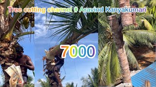 Tree cutting channel  trending channel Aravind kanyakumari 8248851253 [upl. by Charlton691]