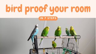 How to Bird Proof A Room Try These 7 Steps [upl. by Nyleek]