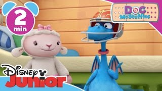 Doc McStuffins  Check Up Time  Disney Junior UK [upl. by Charlotte]