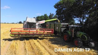 Moisson  CLAAS Lexion 740 avec CLAAS 870 amp 810 avec bennes GYRAX 3 essieux  SAS VALLEE CHANNY [upl. by Enyak]