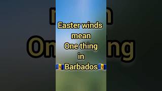 🪁🪁Kite Flying Culture Barbados 🇧🇧 Noise Pollution Concerns and Traditional Crafting Techniques [upl. by Meisel546]