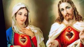 Daily Consecration to the Sacred Heart of Jesus and Immaculate Heart of Mary Pray for us [upl. by Moran]