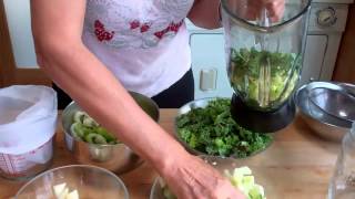 Make Vegetable Juice In a Blender [upl. by Nunciata]