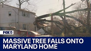 Massive Tree Falls Into Montgomery County Home [upl. by Hatti]