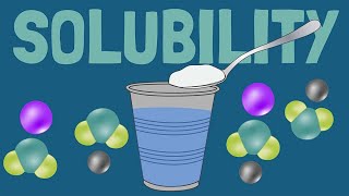 How Solubility and Dissolving Work [upl. by Erdnoed456]