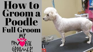 How to Groom a Poodle Full Groom [upl. by Nelson]