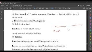 L100 Post transcription modification [upl. by Clarette747]