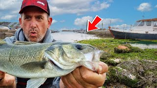 How To Find Bass Anywhere In The UK [upl. by Odericus]