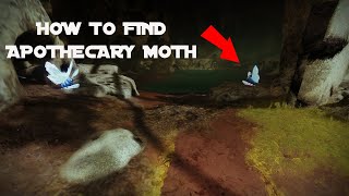 How to find Apothecary Moth [upl. by Peedus]