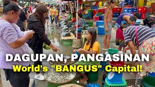 Downtown DAGUPAN CITY PANGASINAN  Explore the Streets Food Markets of Dagupan Philippines [upl. by Johathan420]