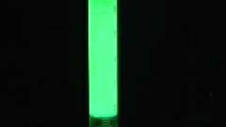 making a glowstick Chemical Luminescence [upl. by Abana]