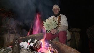 Le yagé un rituel hallucinogène et touristique en Colombie [upl. by Eppesiug]