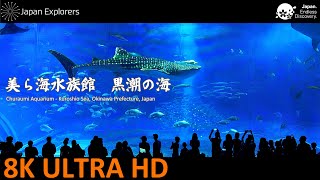 8K Aquarium  Churaumi Aquarium Kuroshio Sea Okinawa Japan 美ら海水族館 黒潮の海 8K [upl. by Akinna520]