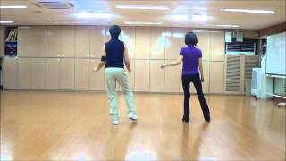 Go cat Go Line Dance Ultra Beginner Level [upl. by Obeng]