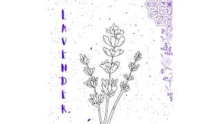 jxsiah  Lavender [upl. by Isma]