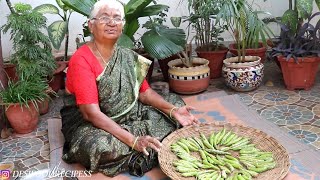 दही मिर्ची  Dahi Mirchi Recipe  Sandgi mirchi  Dry curd chillies [upl. by Beale]