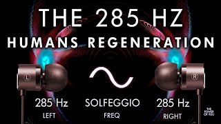 Humans Regeneration  285hz Brain Hemisphere Synchronization [upl. by Wildon427]