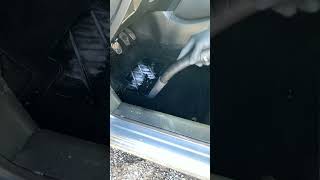 asmr asmrdetailing satisfying foryou pourtoi oddlysatisfying satisfyingvideo carcleaning [upl. by Anoli]