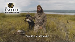 À laffût Chasse au canard [upl. by Dihgirb690]