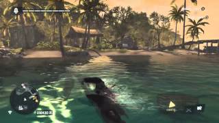 How to Get Elite Harpoon  Assassins Creed 4 [upl. by Ades910]