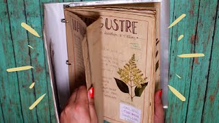 MI HERBARIUM  DIY [upl. by Daphna]