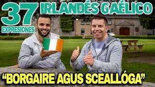 Tutorial EXPRÉS de IRLANDÉS GAÉLICO 37 expresiones que desconocias [upl. by Lionello163]