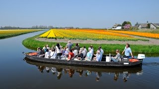 Keukenhof Gardens [upl. by Letty]