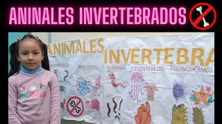 Clasificación de ANIMALES INVERTEBRADOS para niños [upl. by Aw]