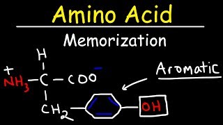 Memorize The 20 Amino Acids  The Easy Way [upl. by Kain]