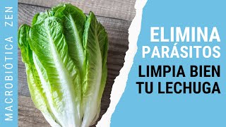 Cómo DESPARASITARTE y LAVAR una LECHUGA 🥬 [upl. by Lede388]