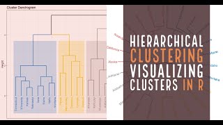 Visualizing clusters in R  Hierarchical clustering [upl. by Lonergan]