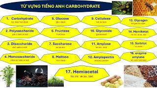 HÓA 12 MỚI  PHIÊN ÂM TÊN GỌI CARBOHYDRATE [upl. by Rodmun]