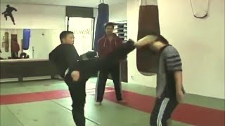 Donnie Yen Training Extended [upl. by Ignatzia230]